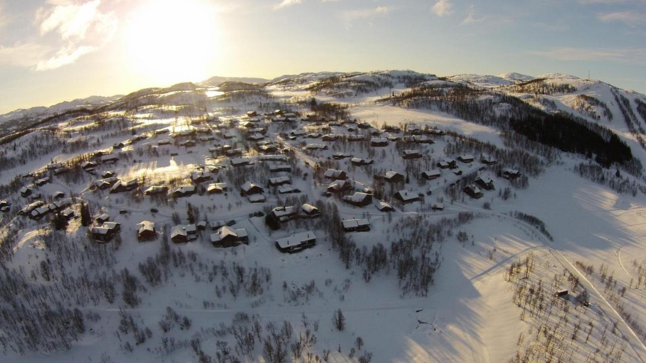 Skinnarbu Sneiselii Eksteriør bilde